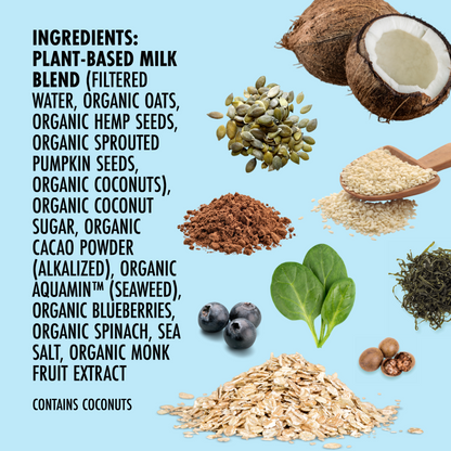 Chocolate Kiki Milk • 32 fl oz • Pack of 6 by Kiki Milk