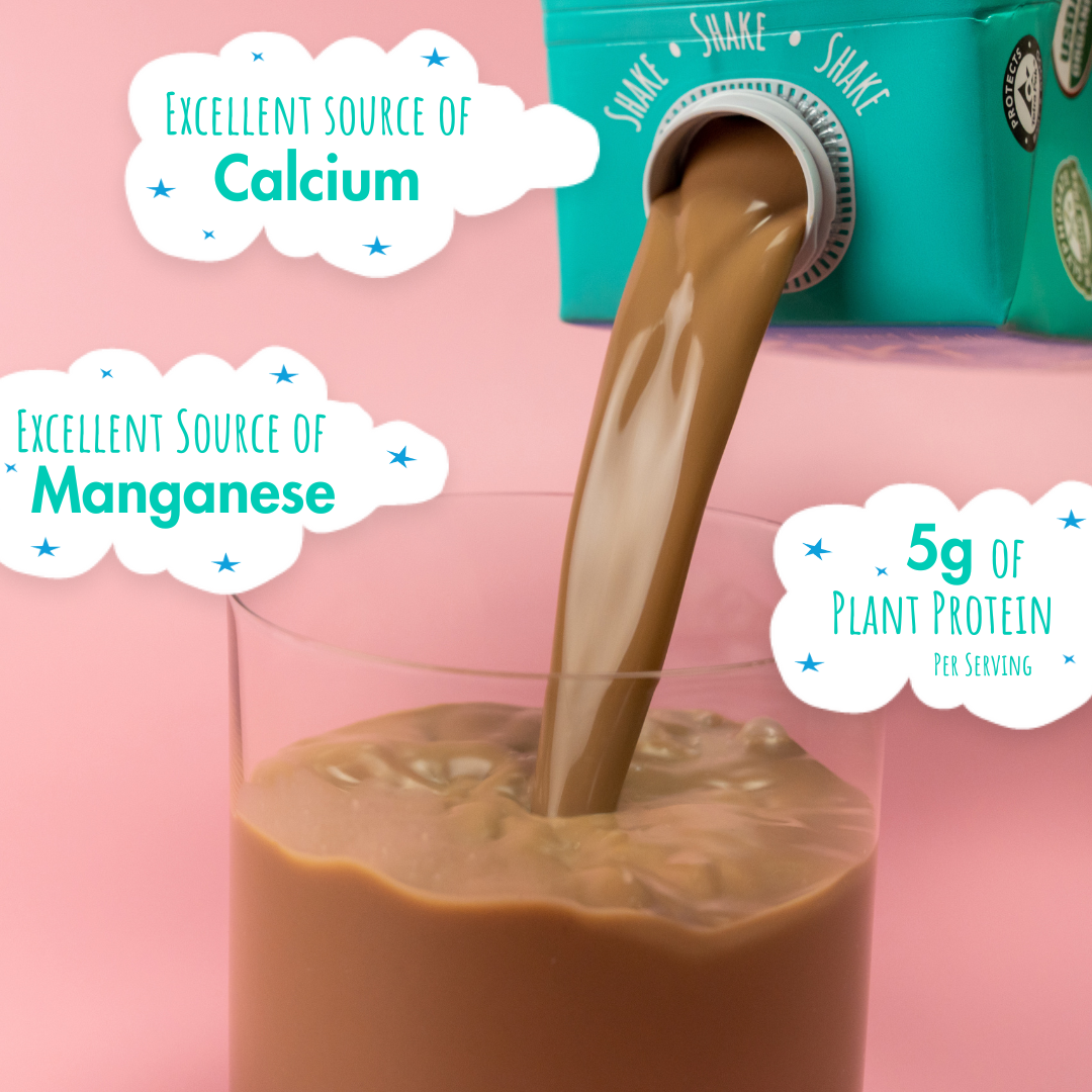 Chocolate Kiki Milk • 32 fl oz • Pack of 6 by Kiki Milk