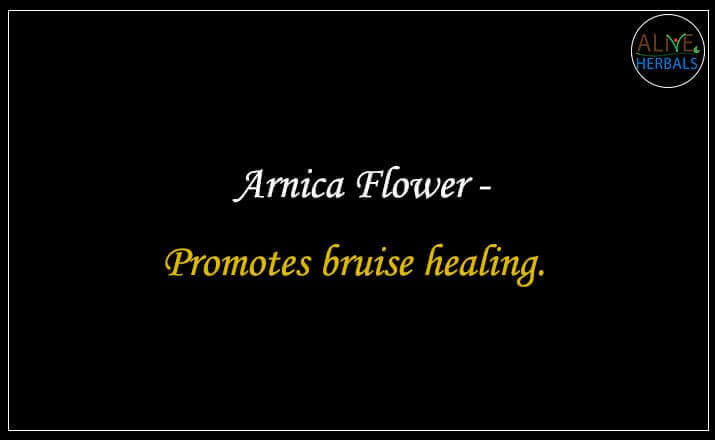 Arnica Flower