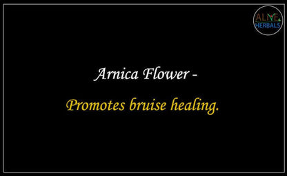 Arnica Flower