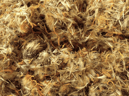 Arnica Flowers, Whole