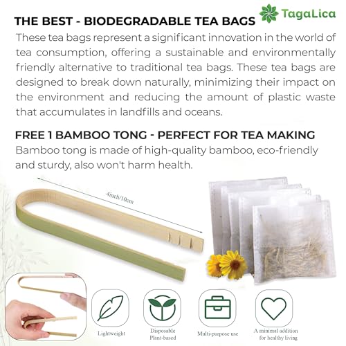 FreshDrinkUS Morning Vitality Digest & Detox Mix, Fennel, Ginger & Lemongrass Herbal Tea Bags Bundle, 100% Natural & Pure Seeds and Leaves, No Sugar, No Caffeine, No Gluten, Vegan, Biodegradable Tea Bags, Hand-Made Process – Herbal Beverage