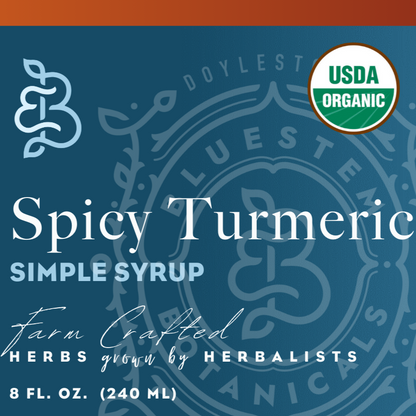 Spicy Turmeric Simple Syrup - Organic