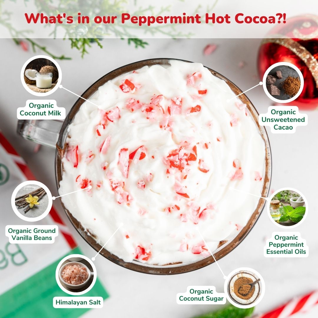 Instant Dairy Free Peppermint Hot Cocoa Mix  | Single Serving 5 Pack |Gluten Free, Vegan and Organic
