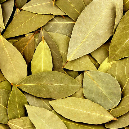 Dry Bay Leaf
