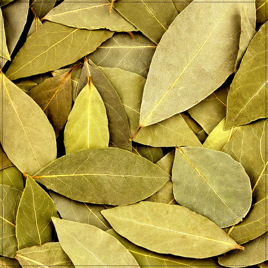Dry Bay Leaf