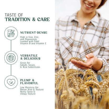 Wheat Berries, Bronze Chief (Red)