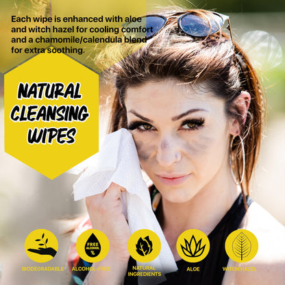 Body Wipes - The Jug