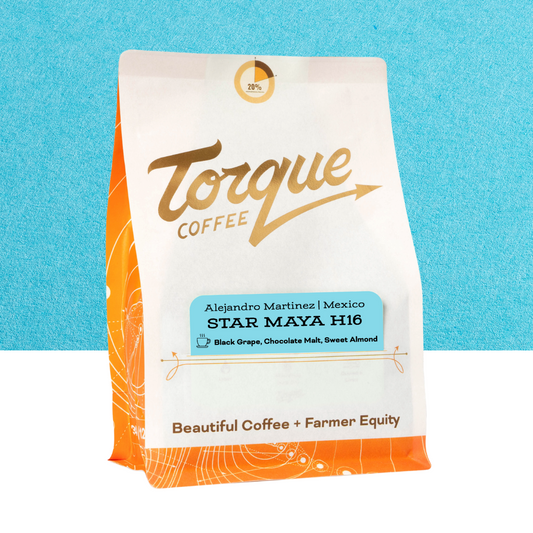 Star Maya H16 - Alejandro Martinez, Mexico