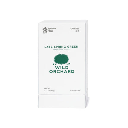 Late Spring Green - Organic Loose Leaf Green Tea