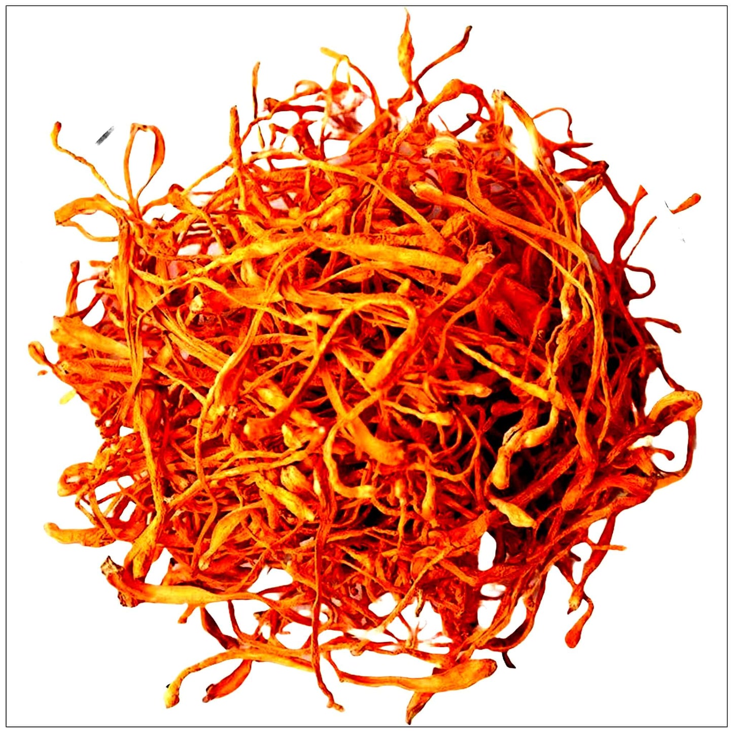 Cordyceps Mushroom Flower