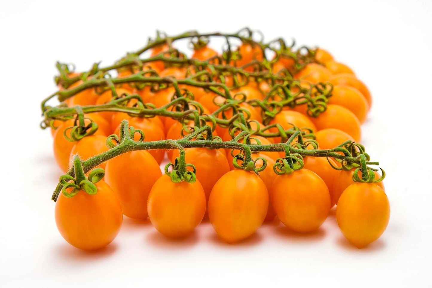 Così Com’è, Italian Yellow Datterino Tomatoes Unpeeled in Own Juice – 12.3 oz (350 g)