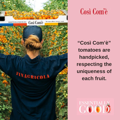 Così Com’è, Yellow Arrabbiata Pasta Sauce – 10.23 oz (290 g)