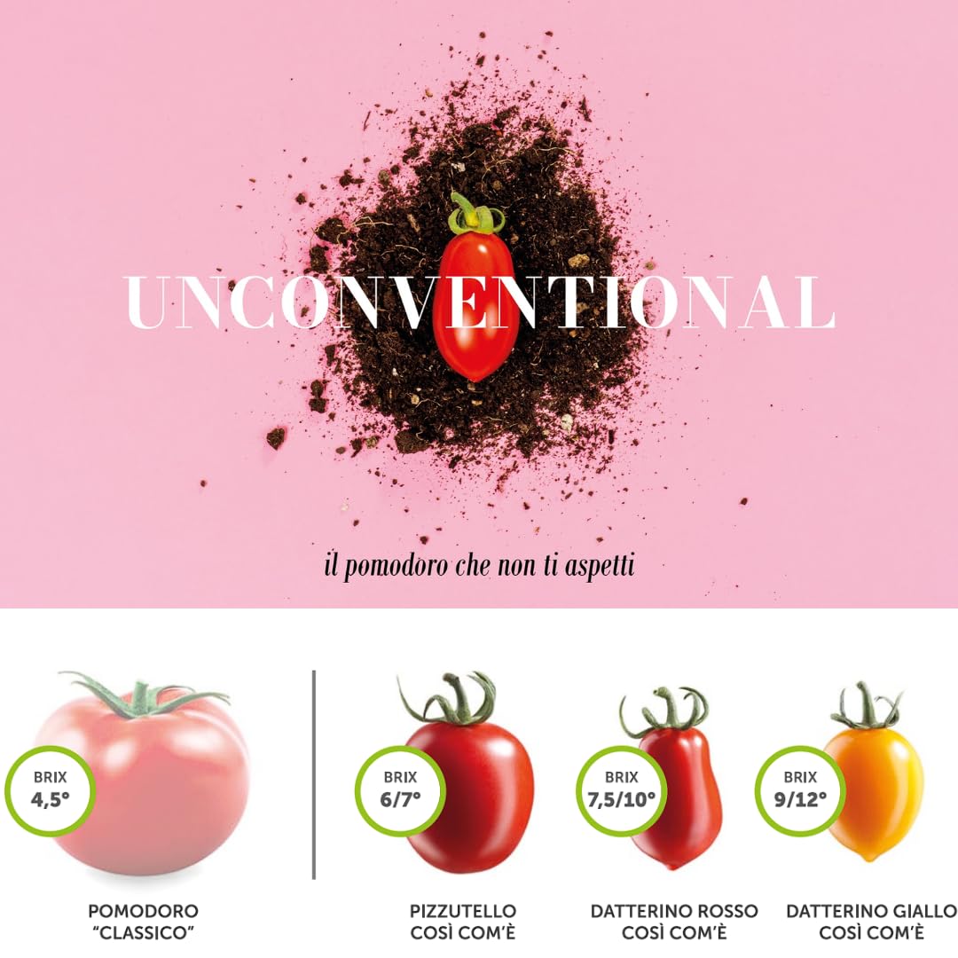 Così Comè Datterini Tomatoes in Juice – 12.3 oz (350 g)