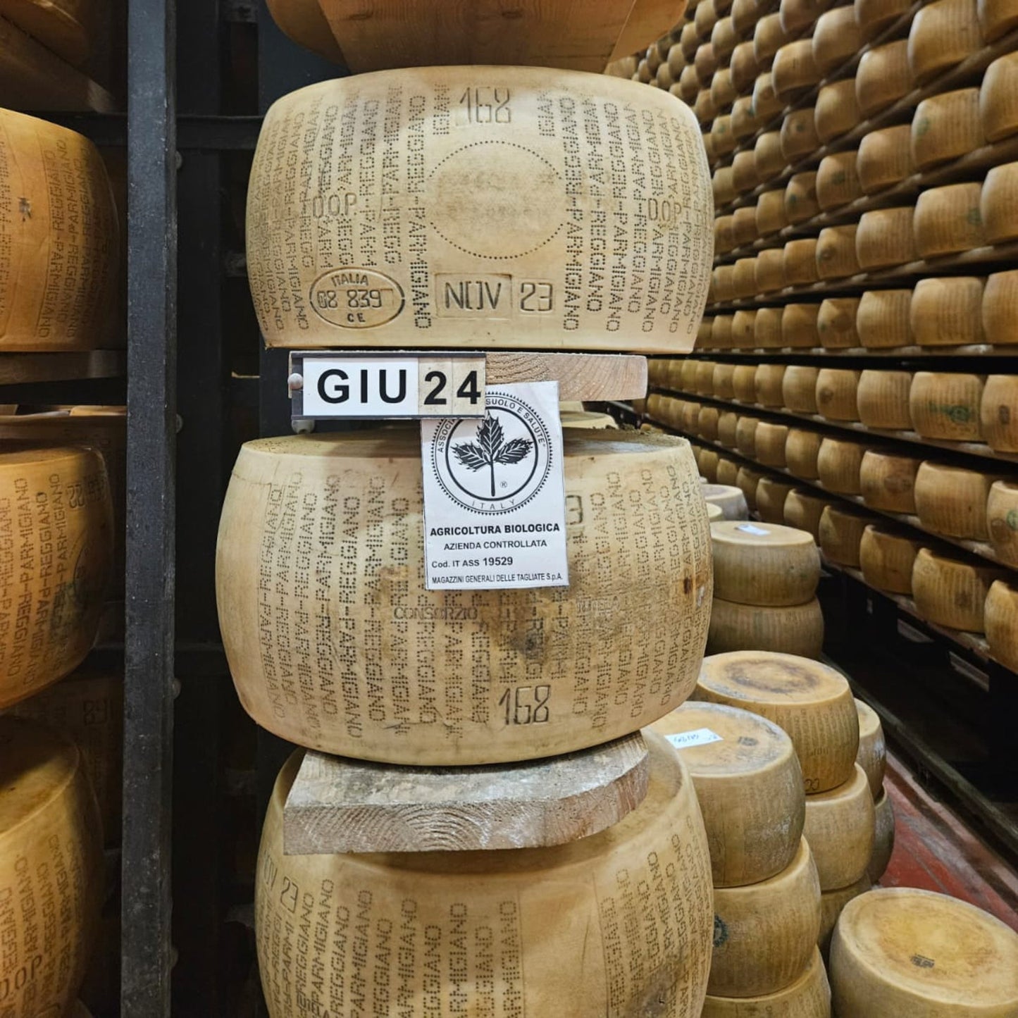 Parmigiano Reggiano Wheel | Aged 24months+ | ~85 pounds