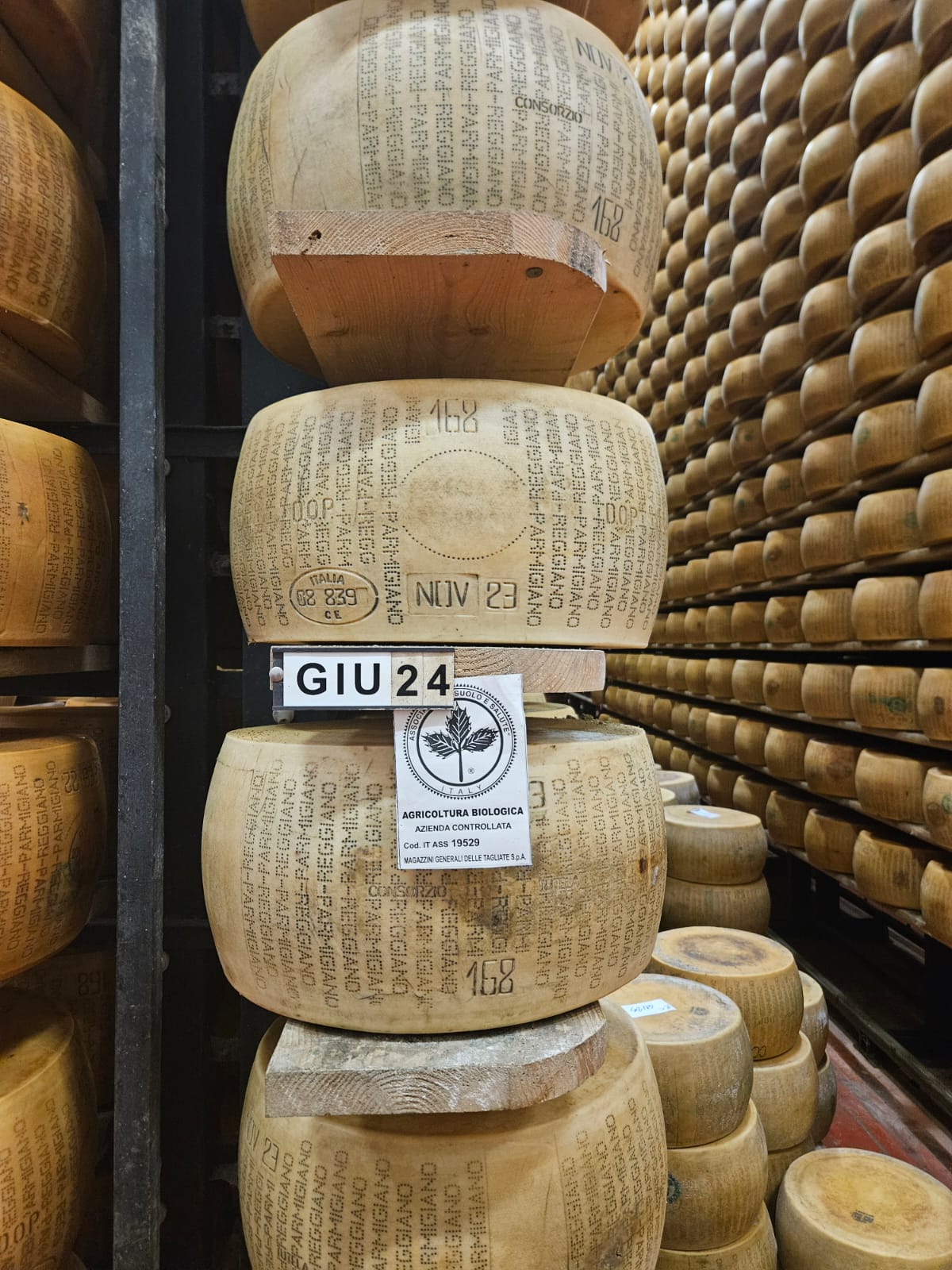Bulk Grated Parmigiano Reggiano | 3 Pack of 2lb Bags