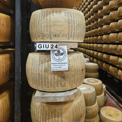10lb cut of Parmigiano Reggiano | Aged 24months+