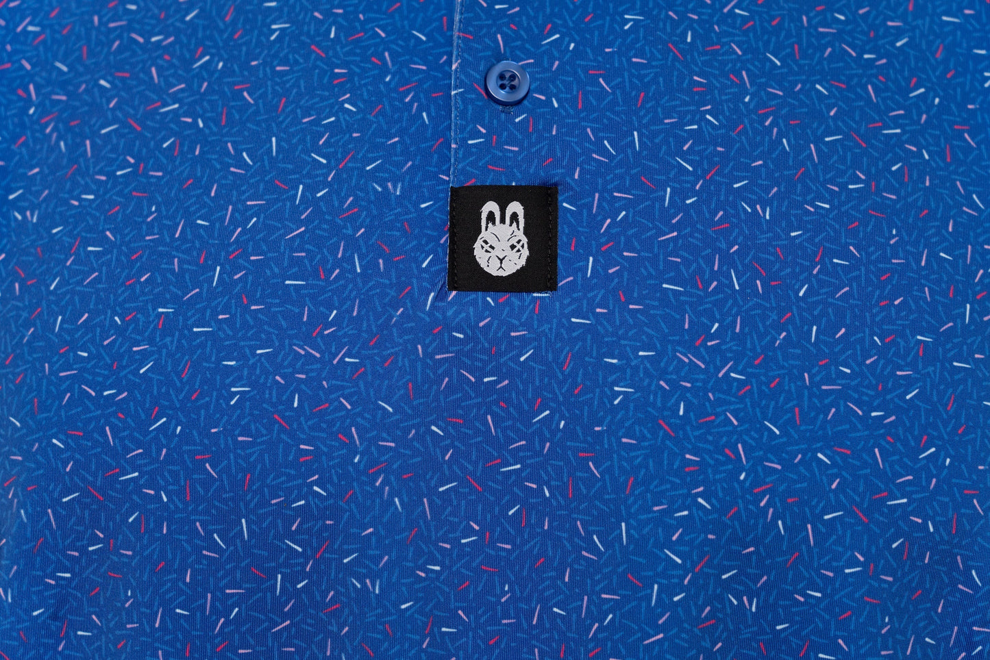 The Big Bang Polo