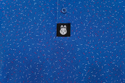 The Big Bang Polo