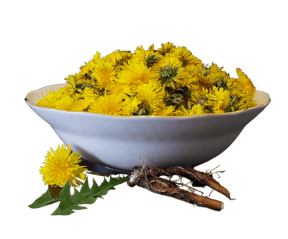 Dandelion Root, Organic, Cut, Sifted