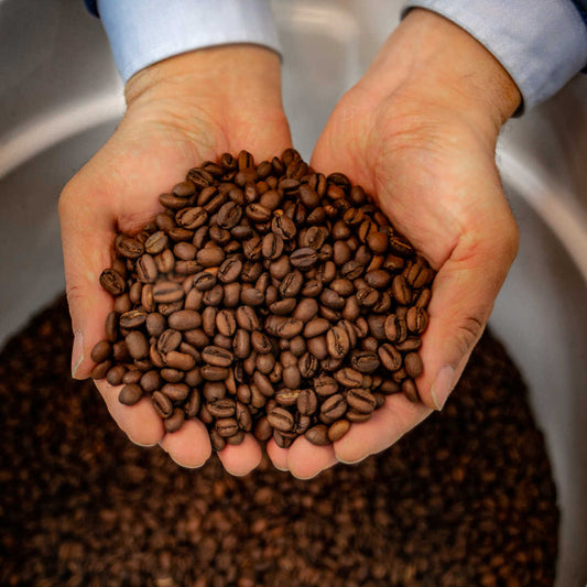 Enzyme Fermented Coffee 16oz (454g)