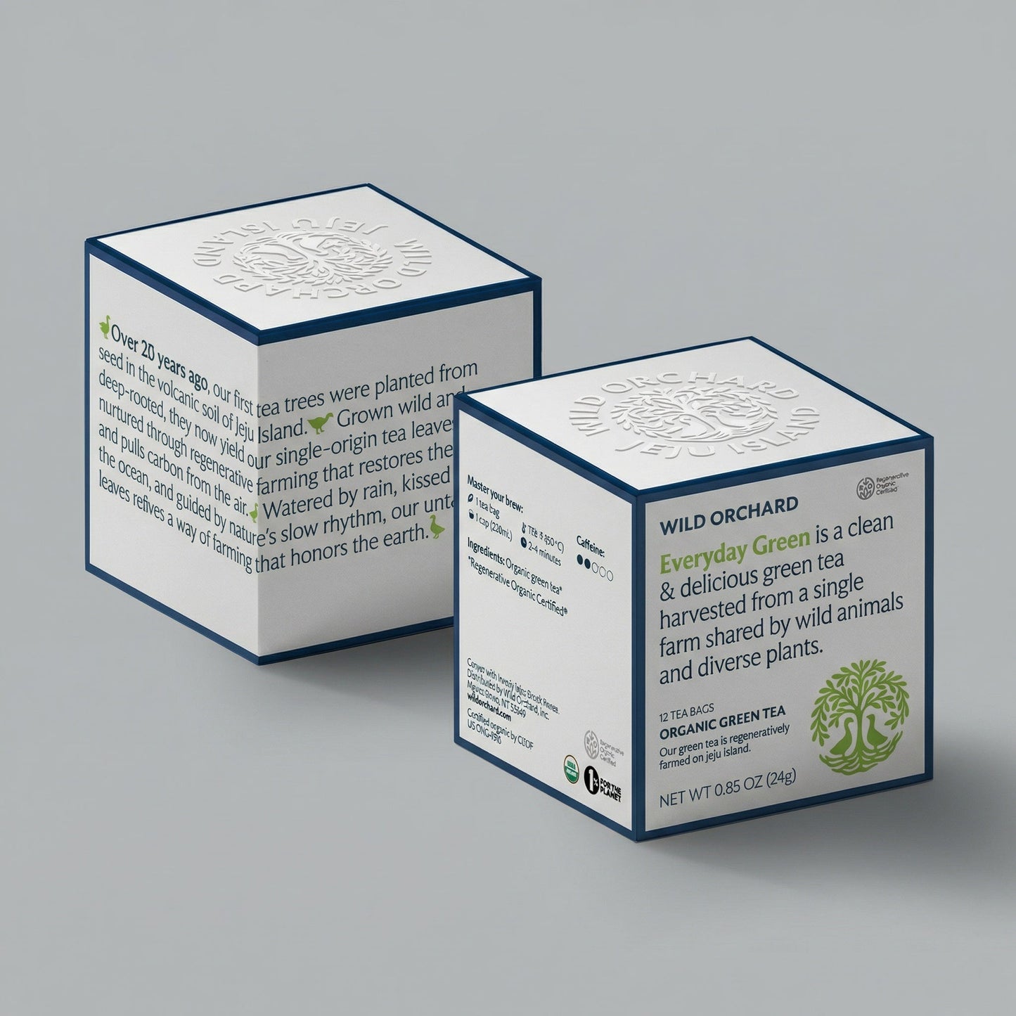 Everyday Green - Organic Green Tea Bag