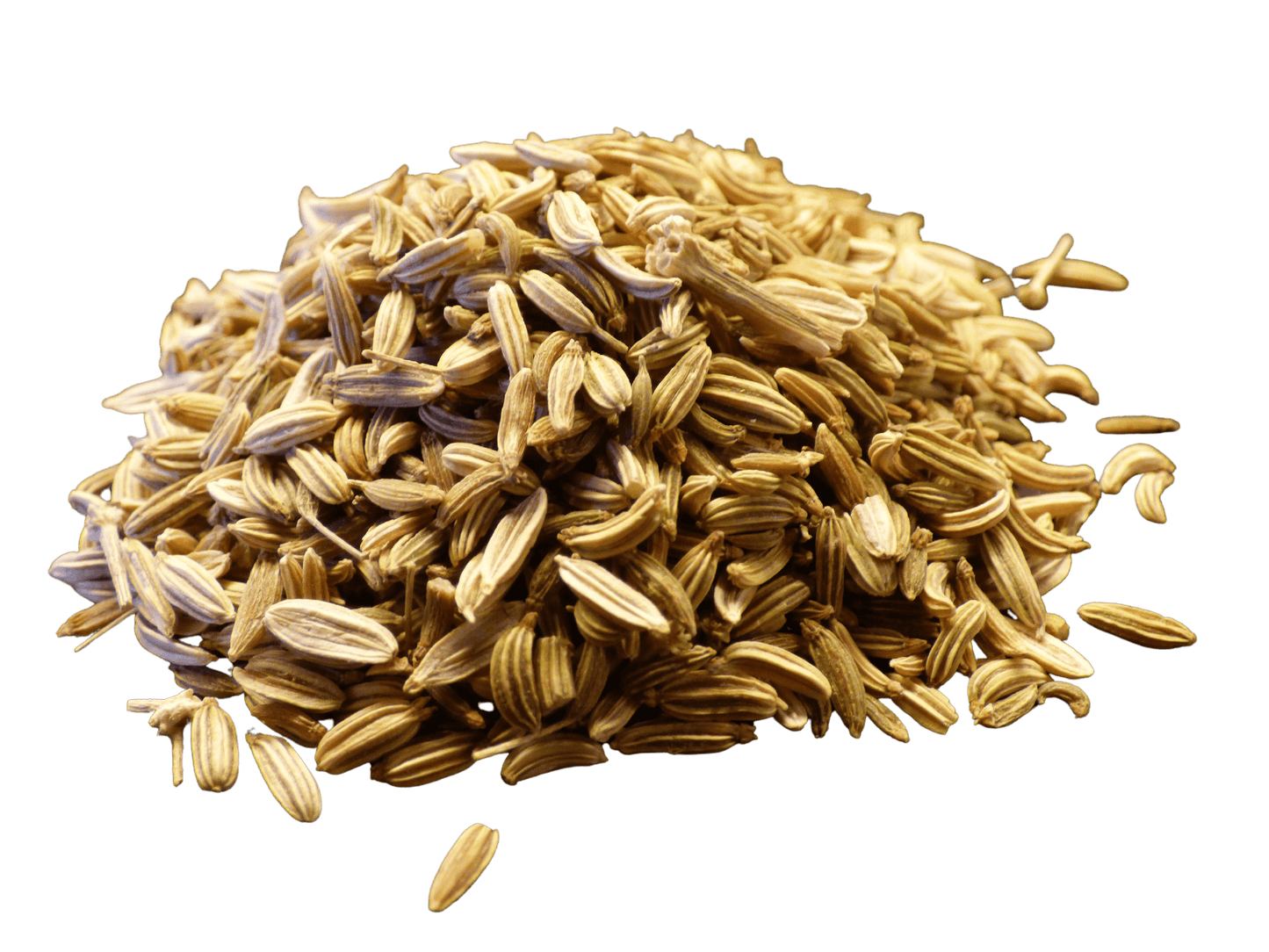Fennel Seed, Whole