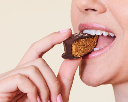 French Squirrel Berets: Peanut Butter Chocolate Protein Bites Pack - 12 Packs x 1 Piece case