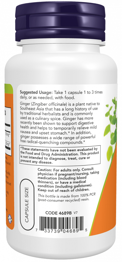 Ginger Root Extract 250mg