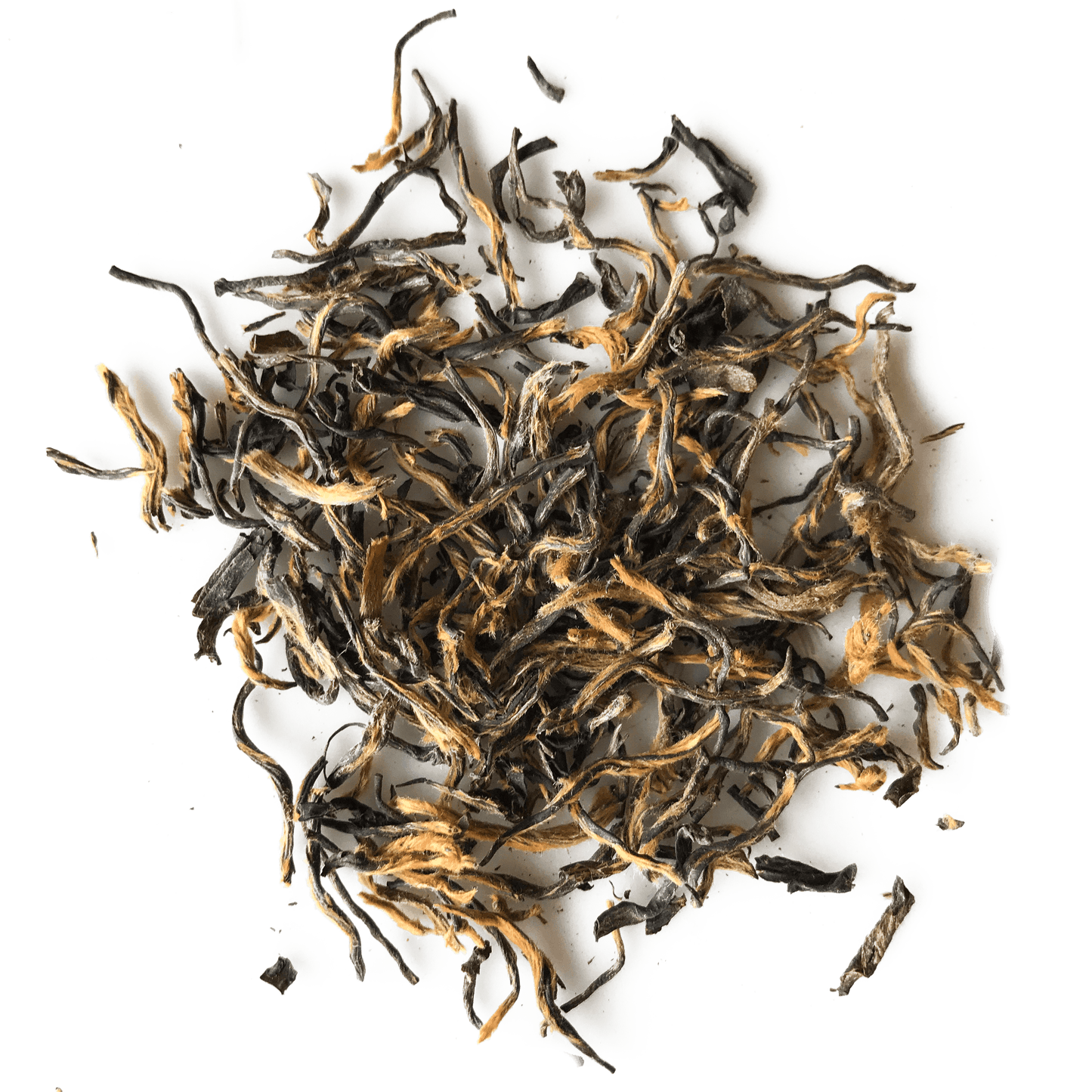 Open Door Tea Golden Monkey