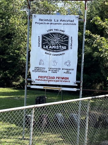 Cafe Rica's Hacienda - House Roast - Single Origin and Certified Organic Washed Costa Rica