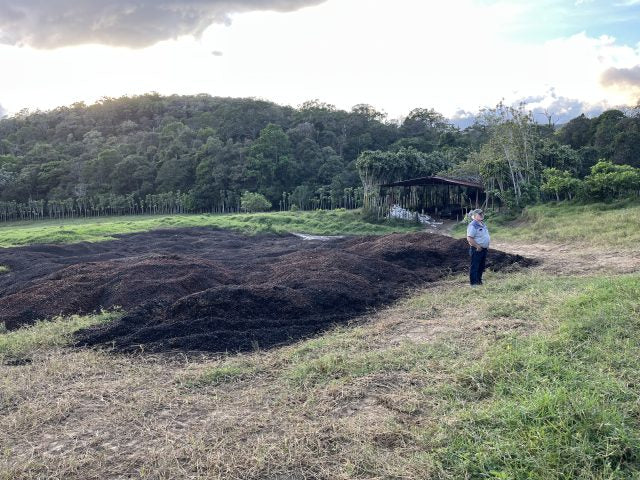 Cafe Rica's Hacienda - House Roast - Single Origin and Certified Organic Washed Costa Rica