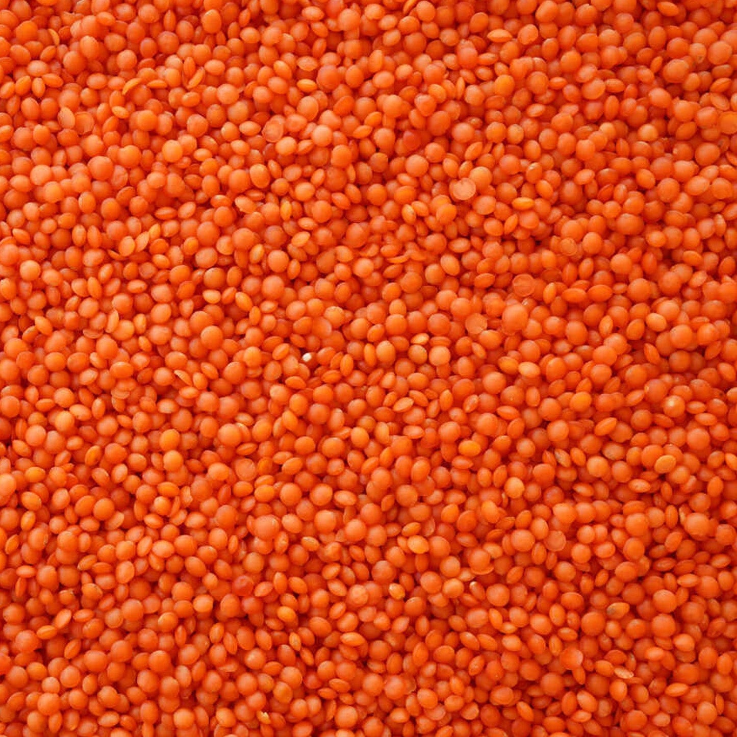 Hasata Red Lentil 1Kg