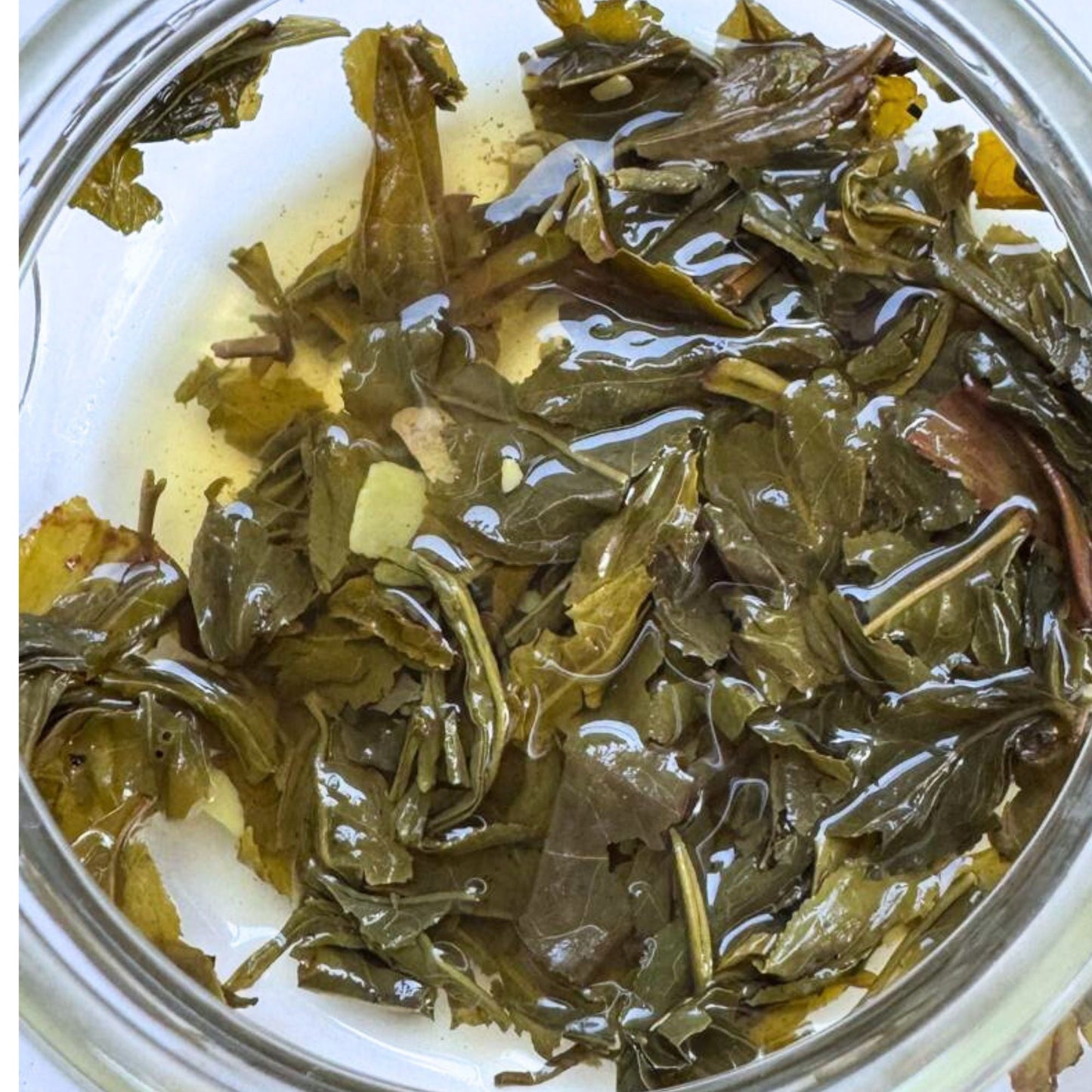 Zenful Coconut - Green Tea Blend