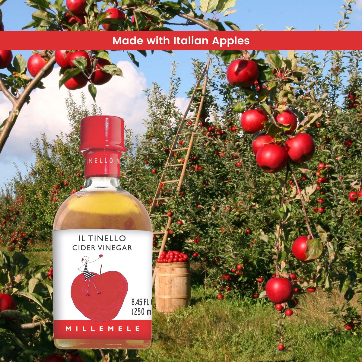 IL TINELLO, Apple Cider Vinegar Aceto di Mele, (8.45 fl oz) 250ml