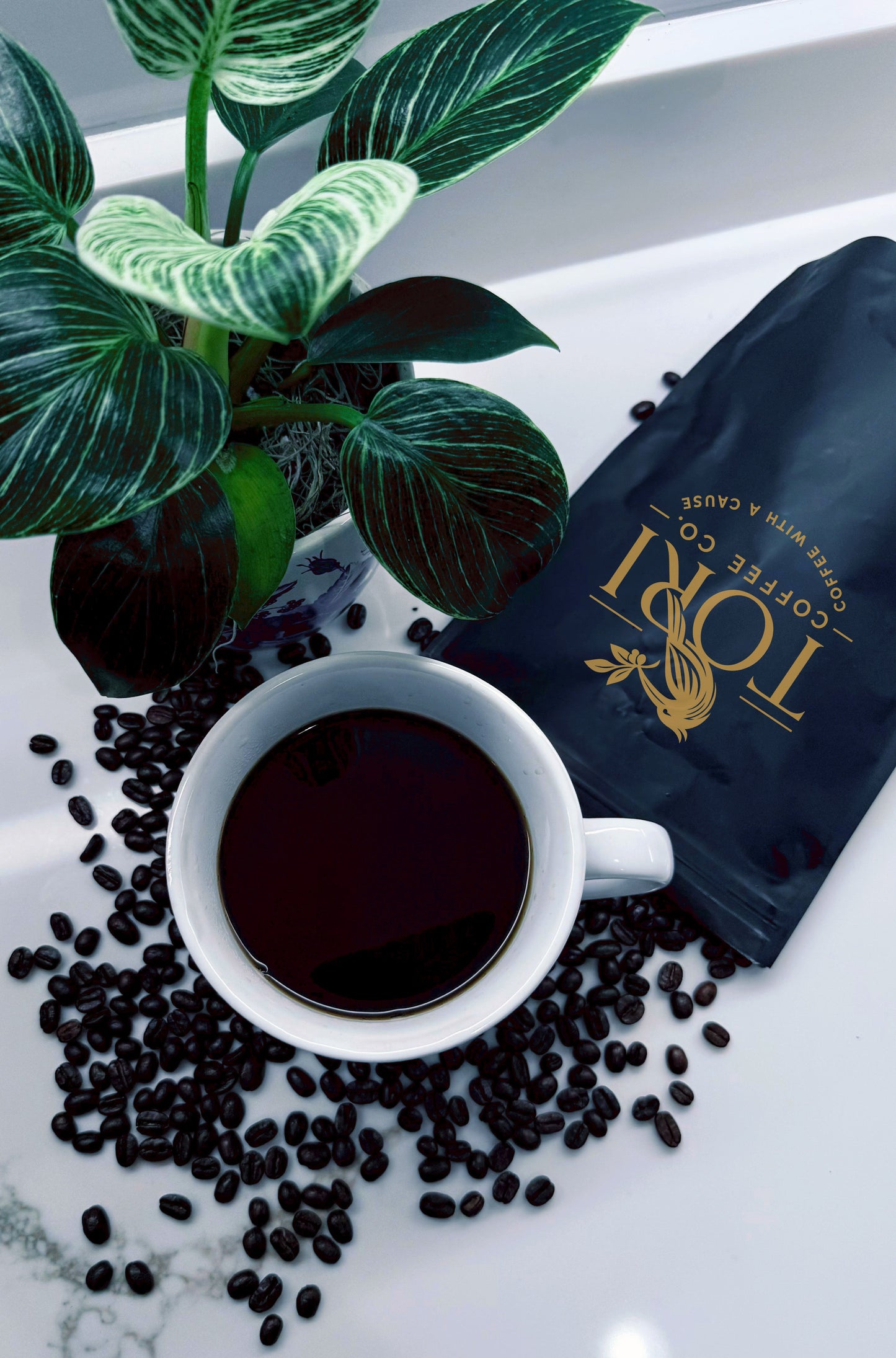 Breakfast Blend | Light Roast |12oz