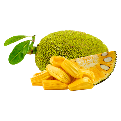 Freeze-Dried Jackfruit