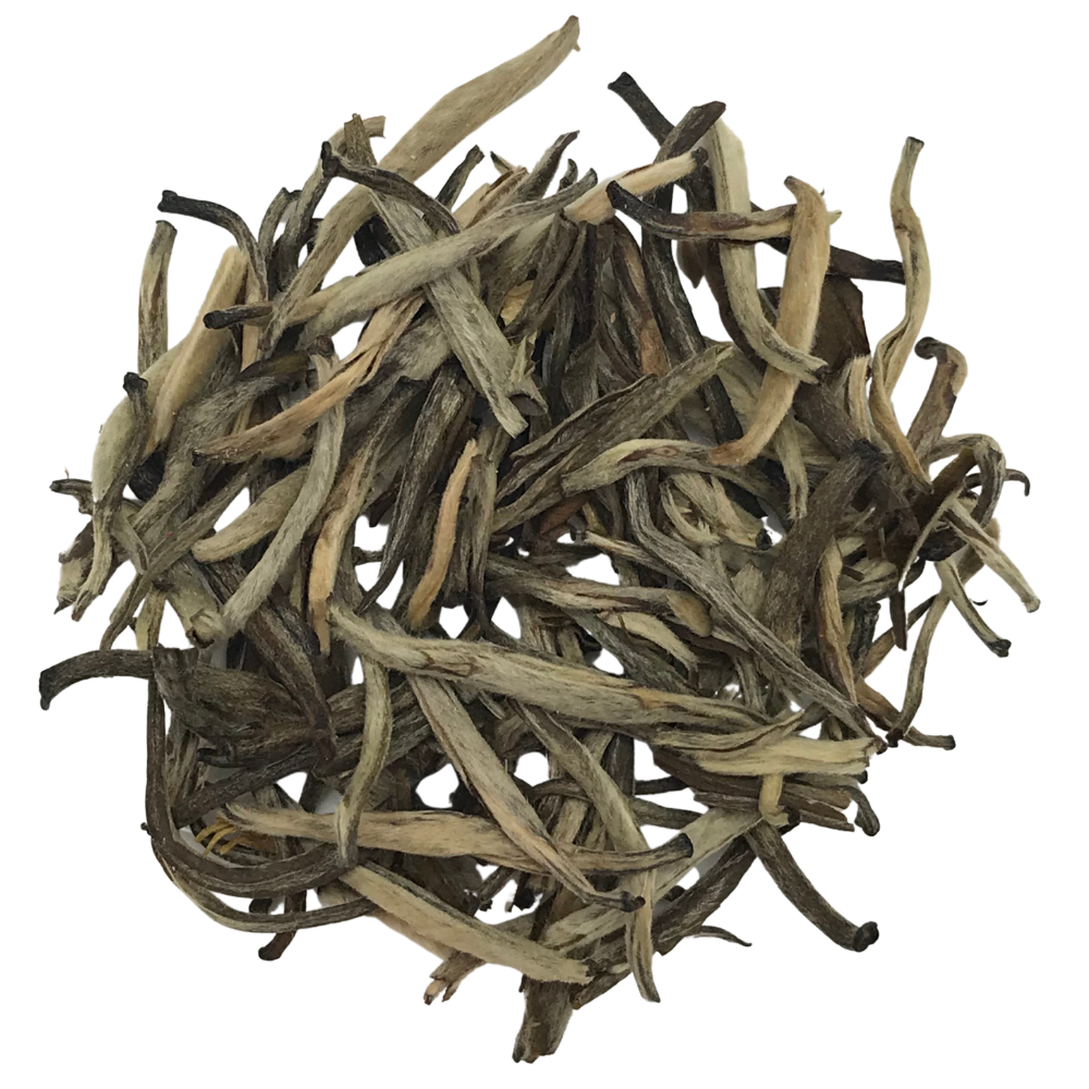 Jasmine Silver Needle