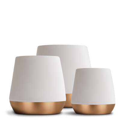 Fellow Joey Double Wall Ceramic Mugs