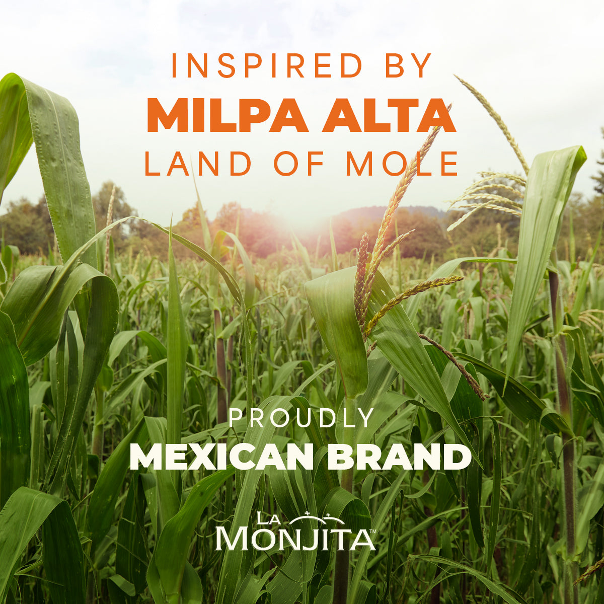 Traditional Mexican Mole