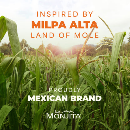 Traditional Mexican Mole