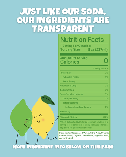 LEMON LIME SQUEEZE-12 Pack