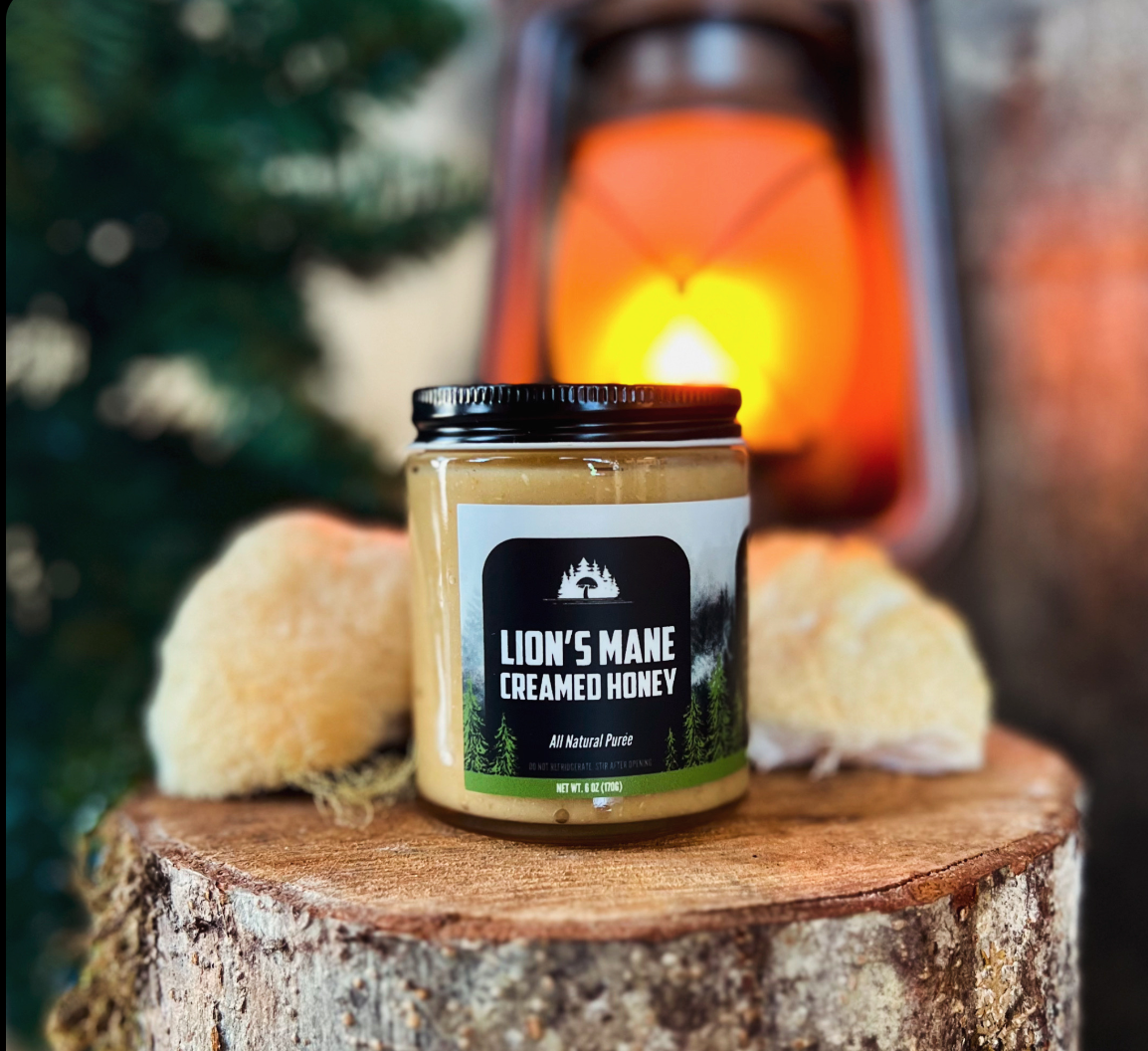 Lion's Mane Creamed Honey