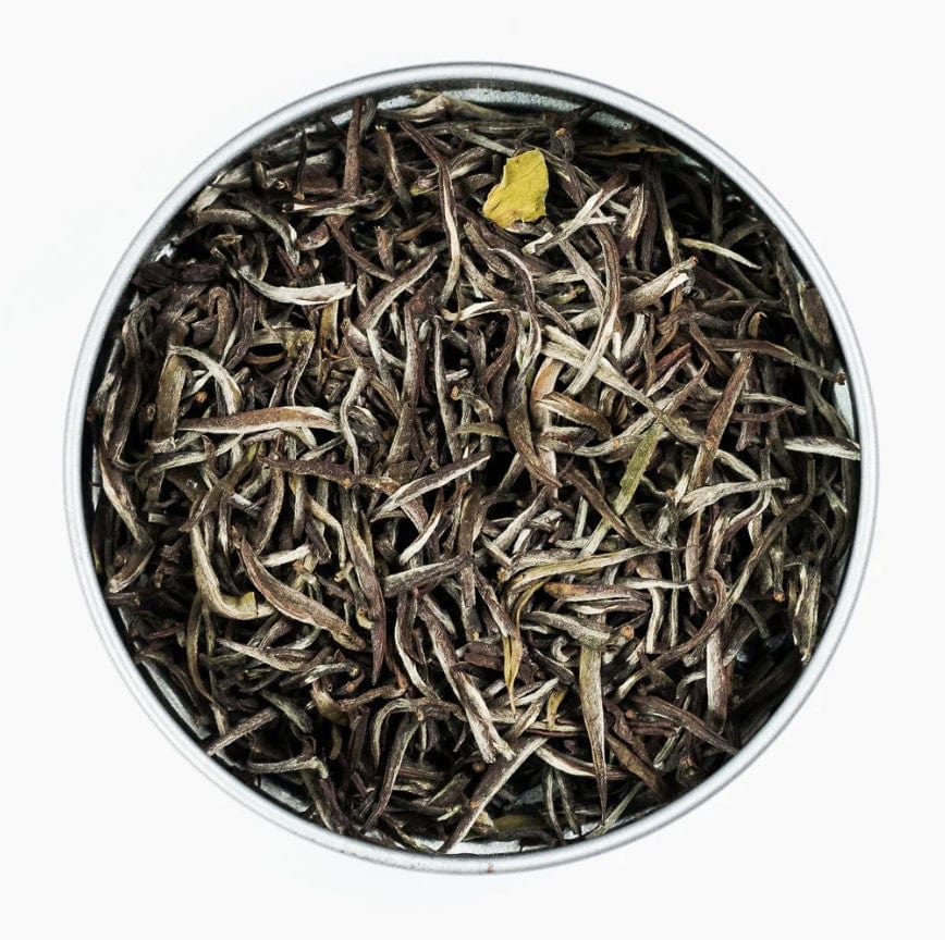 Sarilla Organic Silver Needles Tea: Tins and Bulk