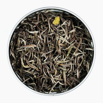 Sarilla Organic Silver Needles Tea: Tins and Bulk