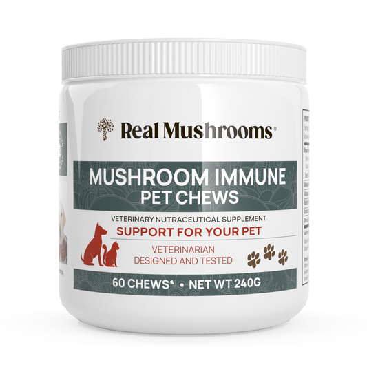 Mushroom Immune Pet Chews by Real Mushrooms