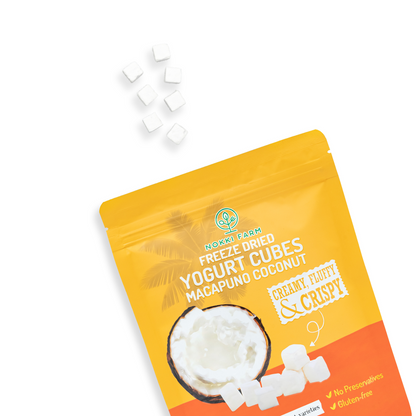 Freeze-Dried Yogurt Cubes - Macapuno Coconut