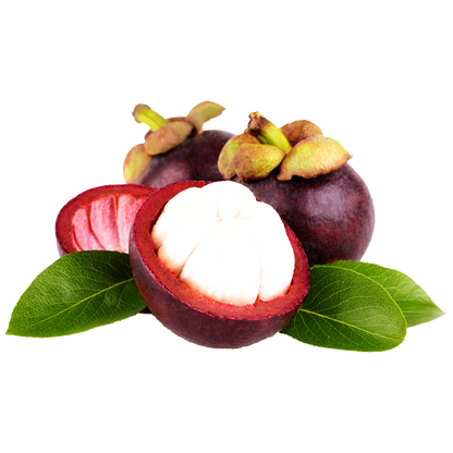 Freeze-Dried Mangosteen