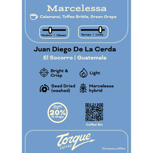 Marcelessa - Juan Diego De La Cerda, Guatemala