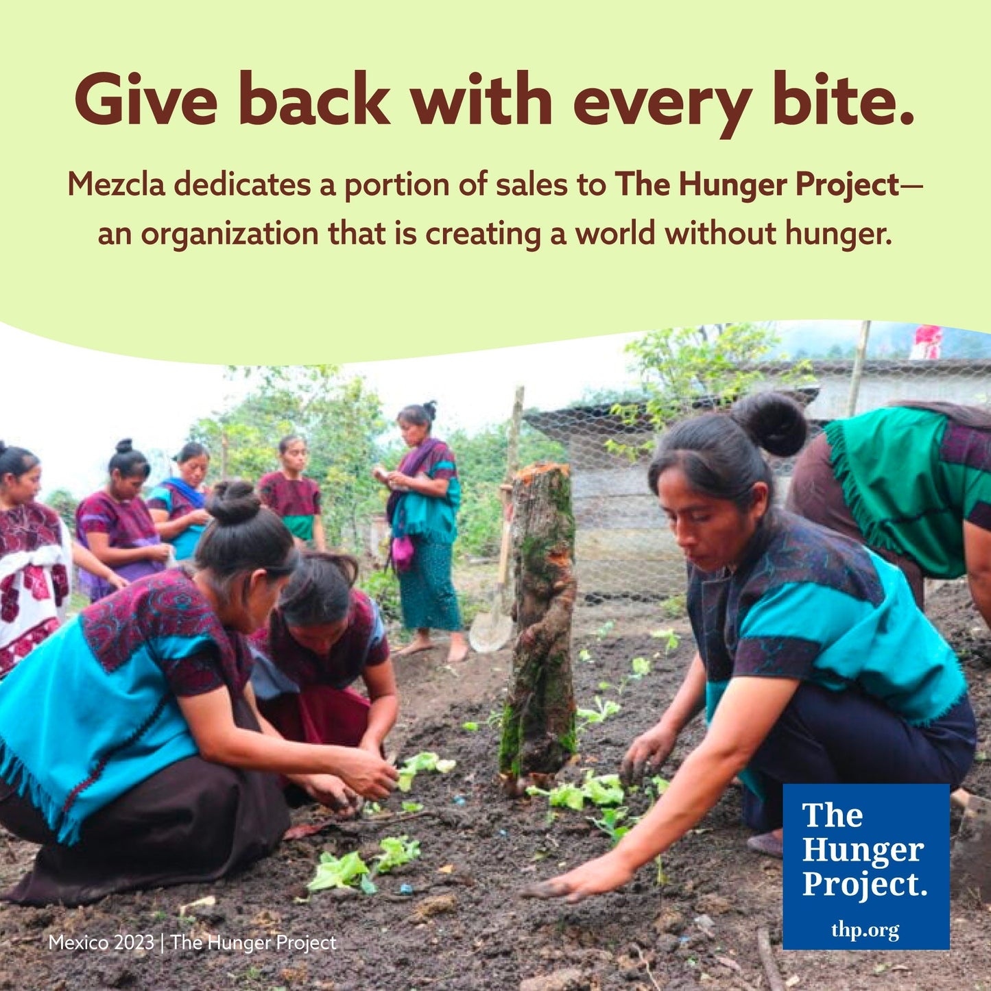 Mezcla Pistachio Chocolate Bars - 12 bars x 1.4 oz case